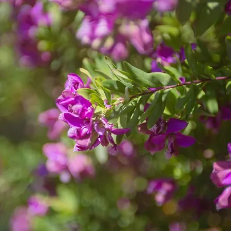 Joli T2 Bord De Mer Tout Equipe Apartament *